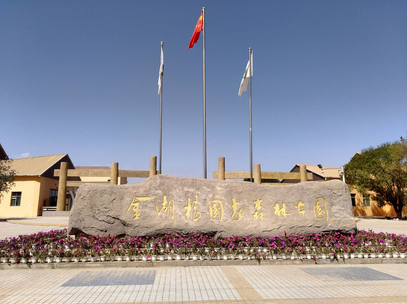 金湖杨国家森林公园